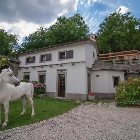 Tatil Evi Tmbin's Barn - Nature, Horses, Family Sežana