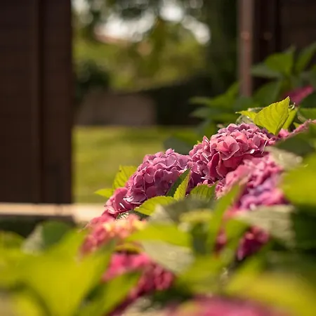 Tmbin's Barn - Nature, Horses, Family بيت للعطل *