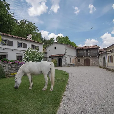 Tmbin's Barn - Nature, Horses, Family Sežana