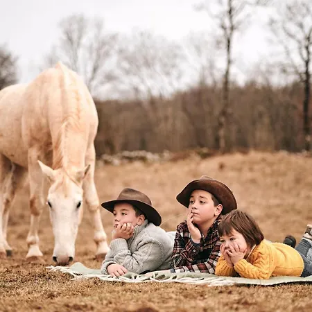 Tmbin's Barn - Nature, Horses, Family بيت للعطل *