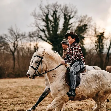 Tmbin's Barn - Nature, Horses, Family בית נופש *