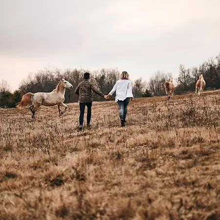בית נופש Tmbin's Barn - Nature, Horses, Family *