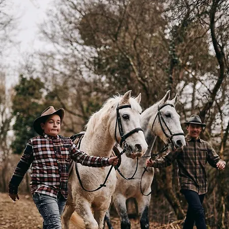 Tmbin's Barn - Nature, Horses, Family Sezana