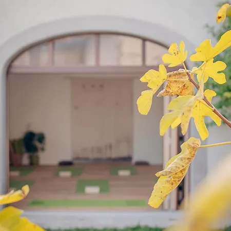 Tmbin's Barn - Nature, Horses, Family