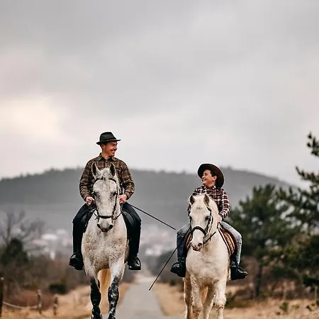 Tmbin's Barn - Nature, Horses, Family בית נופש