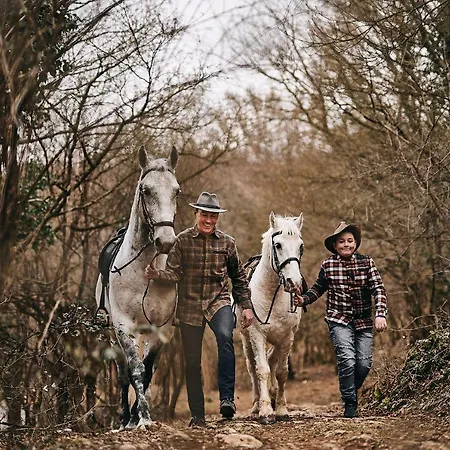 بيت للعطل Tmbin's Barn - Nature, Horses, Family