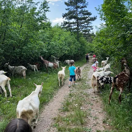 Σπίτι διακοπών Tmbin's Barn - Nature, Horses, Family