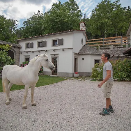 Prázdninový dům Tmbin's Barn - Nature, Horses, Family *