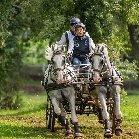 Tmbin's Barn - Nature, Horses, Family بيت للعطل Sežana