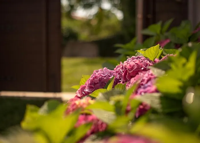 Tmbin's Barn - Nature, Horses, Family Casa vacanze *