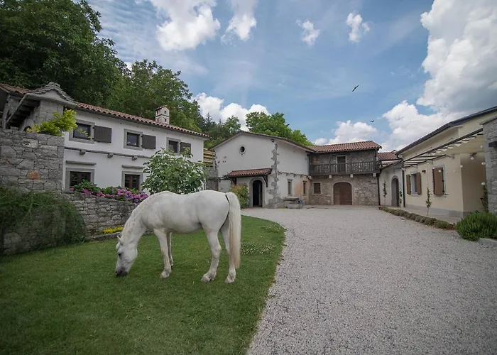 Tmbin's Barn - Nature, Horses, Family Sežana