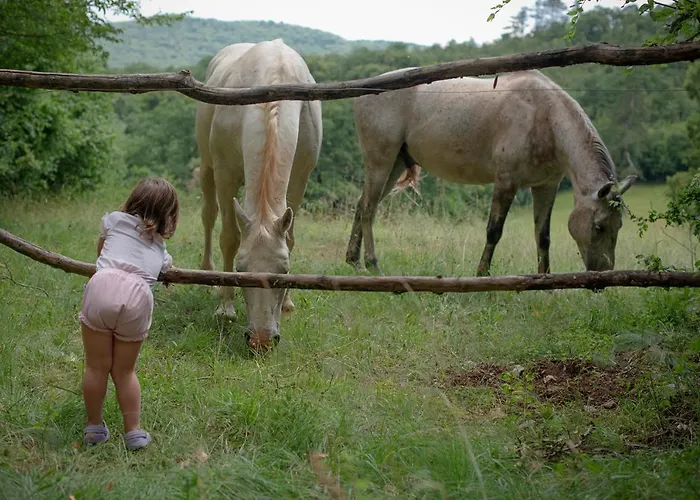 Tmbin's Barn - Nature, Horses, Family