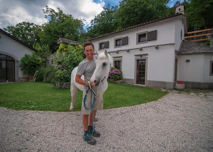 Tmbin's Barn - Nature, Horses, Family Dom wakacyjny *