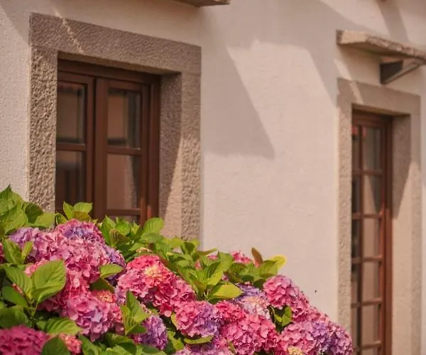 Tmbin's Barn - Nature, Horses, Family Dom wakacyjny *