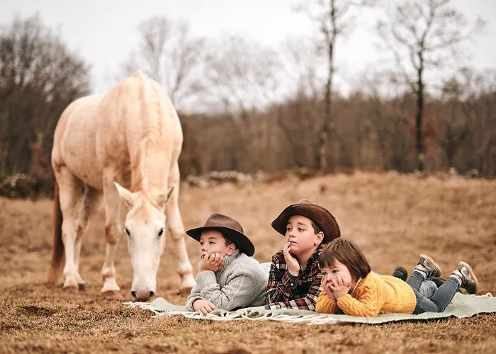 Tmbin's Barn - Nature, Horses, Family Casa vacanze *