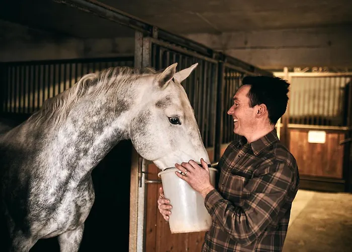 Dom wakacyjny Tmbin's Barn - Nature, Horses, Family