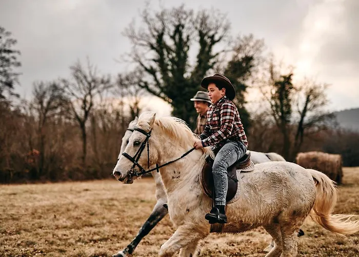 Tmbin's Barn - Nature, Horses, Family Casa vacanze *