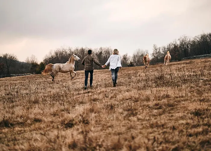 Dom wakacyjny Tmbin's Barn - Nature, Horses, Family *
