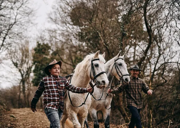 Tmbin's Barn - Nature, Horses, Family Sežana