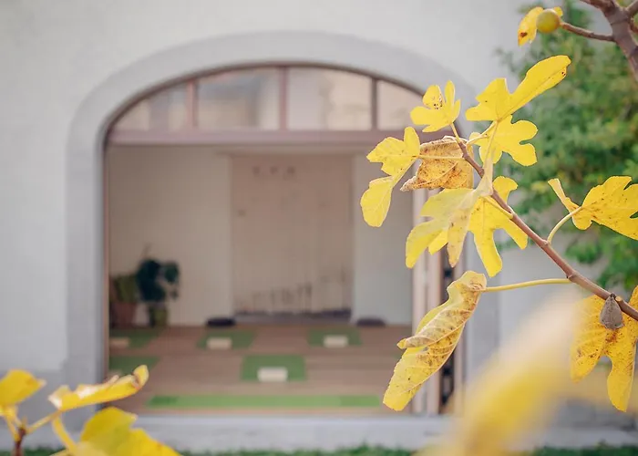 Tmbin's Barn - Nature, Horses, Family