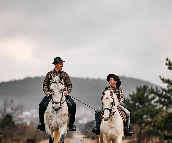 Tmbin's Barn - Nature, Horses, Family Casa vacanze