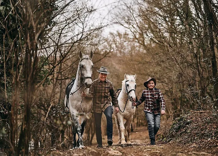 Dom wakacyjny Tmbin's Barn - Nature, Horses, Family
