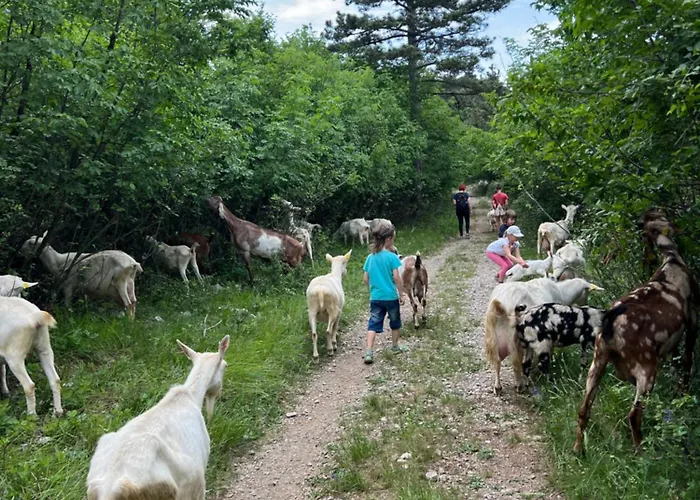Casa vacanze Tmbin's Barn - Nature, Horses, Family