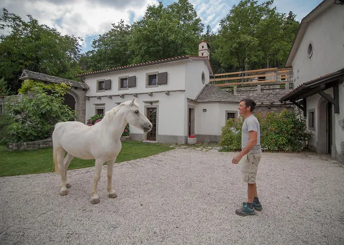 Dom wakacyjny Tmbin's Barn - Nature, Horses, Family *