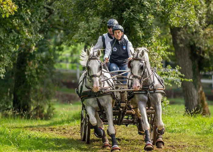 Tmbin's Barn - Nature, Horses, Family Casa vacanze Sežana
